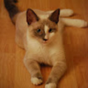 Meet your Posher, Donna